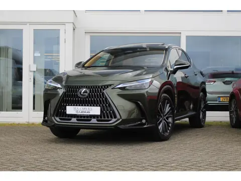 Lexus NX 450h+ AWD President Line I Open dak I 360-camera I Head up display