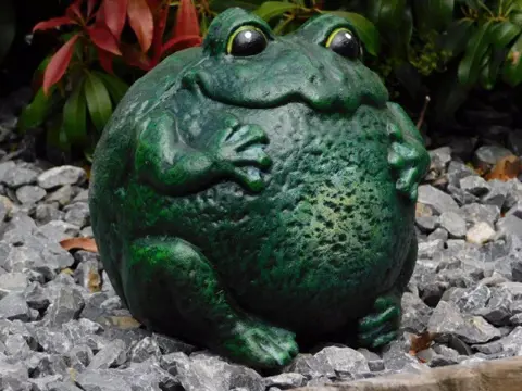 Kikker , tuinbeeld ,kado