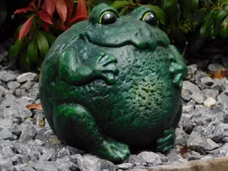 Kikker , tuinbeeld ,kado