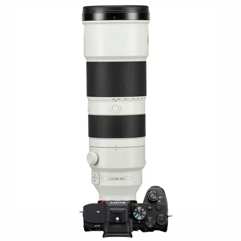 Sony A7 IV + FE 200-600mm G