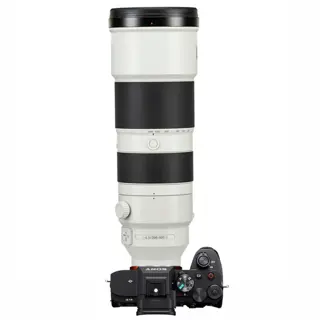 Sony A7 IV + FE 200-600mm G