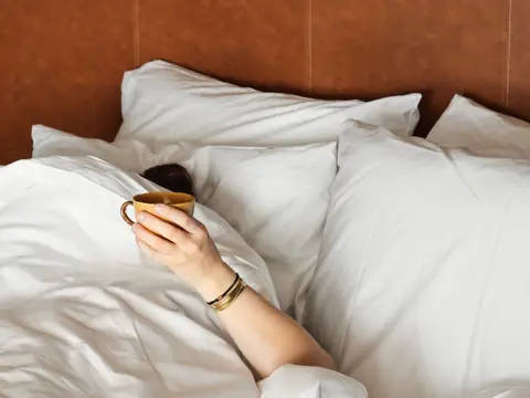 Luxe Junior Polder Suite centraal gelegen op Texel