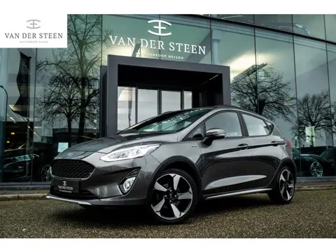 Ford Fiesta 1.0 EcoBoost Active | Winterpack | Trekhaak | Dealer Onderhouden