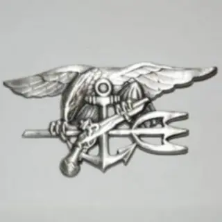 Embleem,Badge,US,Navy,Seals,Zilver