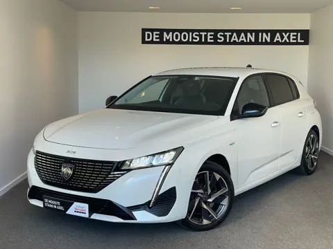 Peugeot 308 1.6 HYbrid 180 Allure Pack Business (bj 2022)