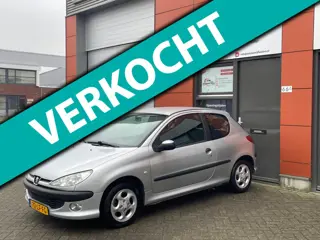 Peugeot 206 1.6-16V XS APK 02-2027 NAP ELEK RAMEN CNTRL