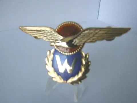 Embleem,Badge,Wing,Waarnemer,Koninklijke,Luchtmacht