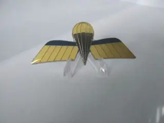 Embleem,Badge,Wing,Para,Koninklijke,Luchtmacht