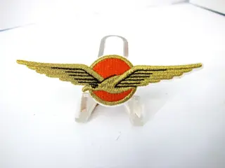 Embleem,Patch,Wing,Piloot,Koninklijke,Luchtmacht