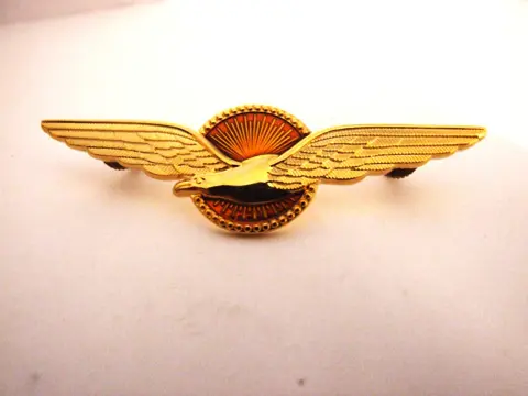 Embleem,Badge,Wing,Piloot,Koninklijke,Luchtmacht