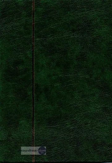 Postzegel Insteekalbum - Klein formaat: donker groen (misdru