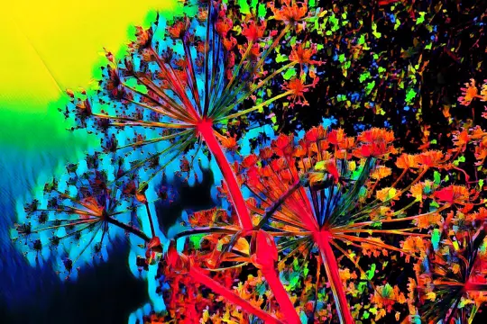 Maak van je foto een kunstwerk