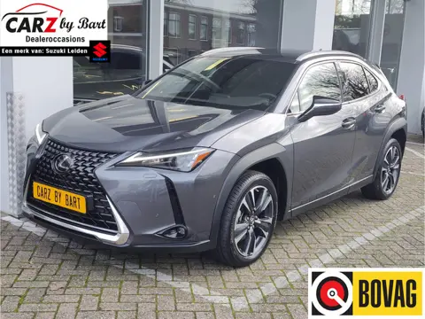 Lexus UX 250h LUXURY LINE Leder | Keyless | Stuurverwarming | Dodehoeksens.