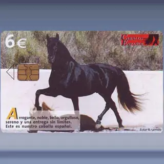Caballo Espaniol (06-2004)