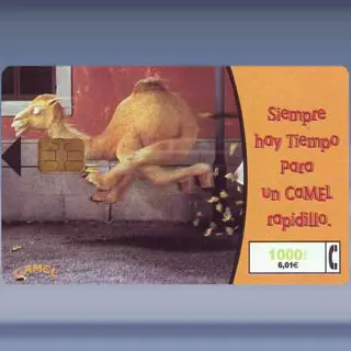 Camel (1999)