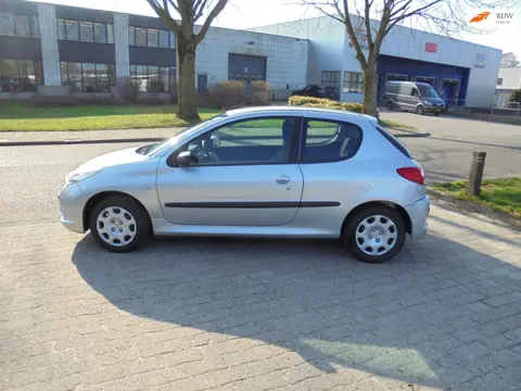 Peugeot 206 + 1.1 XR Nieuwe D-riem
