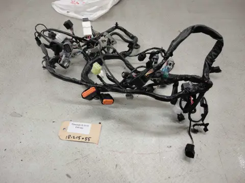 Wire Harness Kawasaki ER 6 2012 - 2016