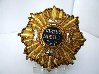 Borstster,Orde,van,de,Nederlandse,Leeuw