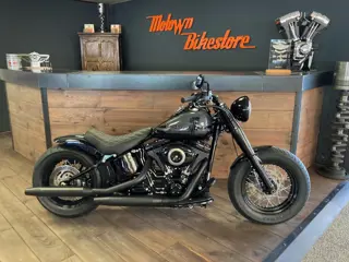Harley Davidson FLS Softail Custom Special Paint Custom Rear 200