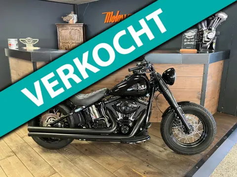 Harley Davidson FLS Softail Custom Special Paint Custom Rear 200 Vance & Hines