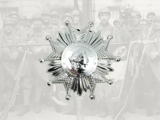 Borstster,Frankrijk,Legioen,van,eer,groot,Officier