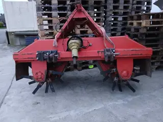 Acker ruggenfrees asperges