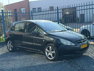 Peugeot 307 1.6-16V Gentry AUTOMAAT!LEDER!CLIMA!NW-APK!KOOPJE!