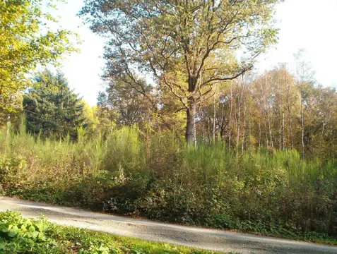 TK België Mooi Woudperceel 24 are