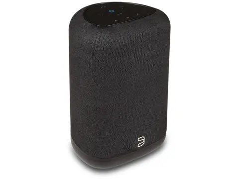 Bluesound Pulse Flex (P130) zwart