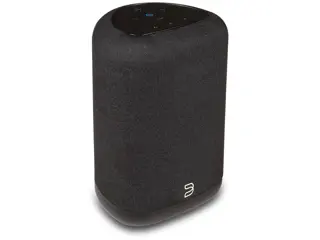 Bluesound Pulse Flex (P130) zwart