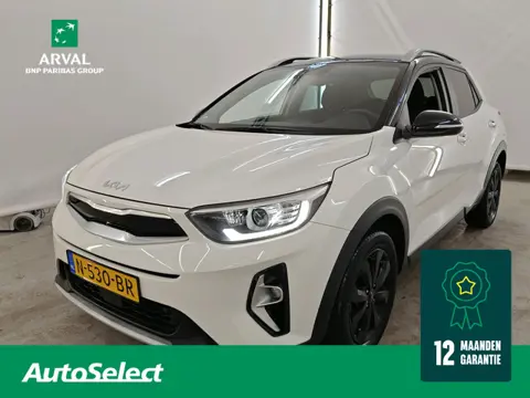Kia Stonic 1.0 T-GDi MHEV 120pk Automaat DynamicPlusLine | Trekhaak | Navi | CarPlay | 16" velgen | 