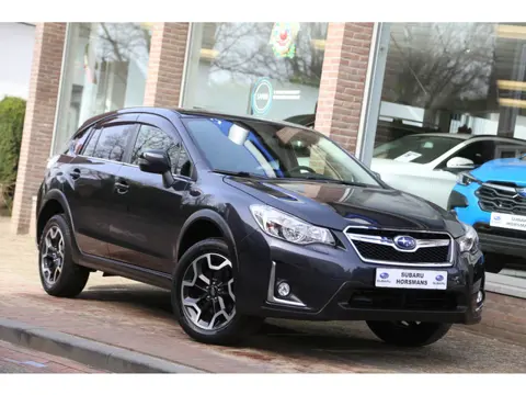 Subaru XV 1.6i Intro AWD Automaat Camera LED (bj 2017)