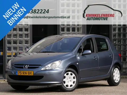 Peugeot 307 1.6 XS/ APK MAART 2027/ DISTRIBUTIE VERVANGEN/ ZORGVULDIG ONDERHOUDEN