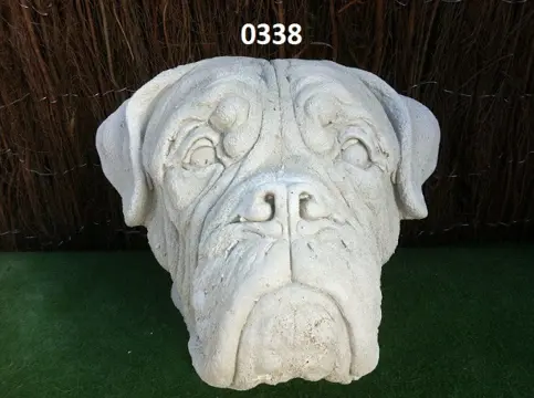 Boxer hond.