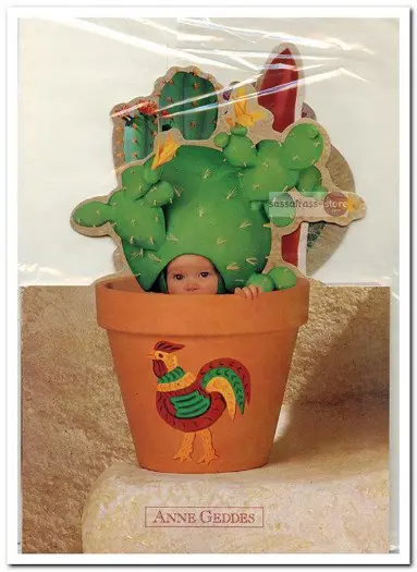 Wenskaart met enveloppe: Anne Geddes (1998) - Uitvouwbaar