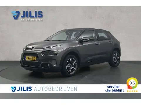 Citroën C4 Cactus 1.2 PureTech Business | Apple Carplay | Cruise control | Lichtmetalen velgen