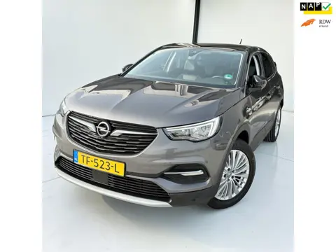 Opel Grandland X 1.2 Turbo Business Executive panoramadak