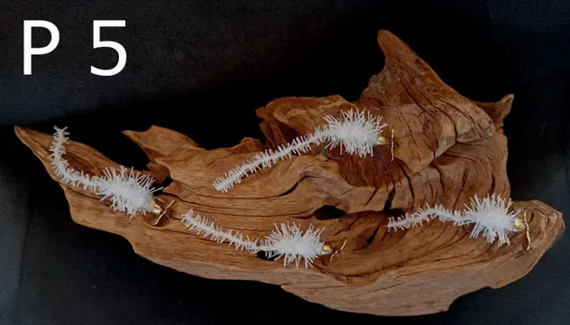 2 sets van elk 4 stuks Forel-Ruisvoorn-Baars Propellerwormen