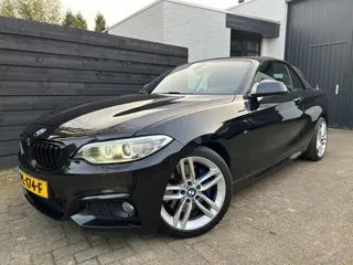 BMW 2-serie Cabrio 220i High Executive, M-sport, Leder, Org. NL