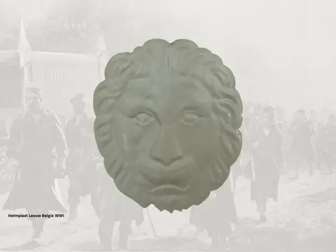 Helmplaat,Belgie,WWII,Leeuw,M1931