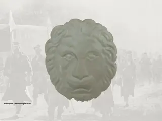 Helmplaat,Belgie,WWII,Leeuw,M1931