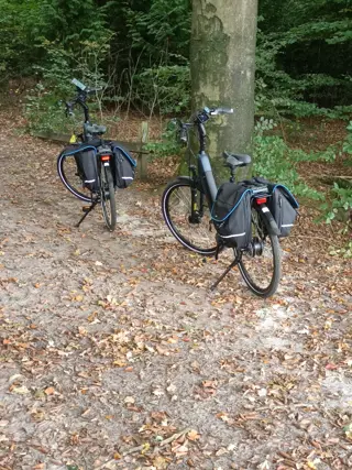 Man 70 + zoekt mailcontact