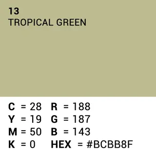 Superior Achtergrondpapier Tropical Green 1.35m x 11m