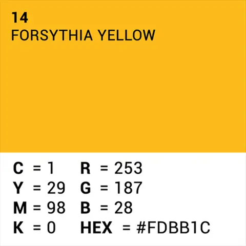 Superior Achtergrondpapier Forsythia Yellow 1.35m X 11m