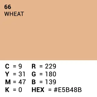 Superior Achtergrondpapier Wheat 2.72m x 11m