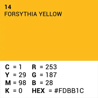 Superior Achtergrondpapier Forsythia Yellow 2.72m X 11m