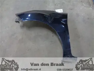 Ford Fiesta 2008-2017 Voorscherm links