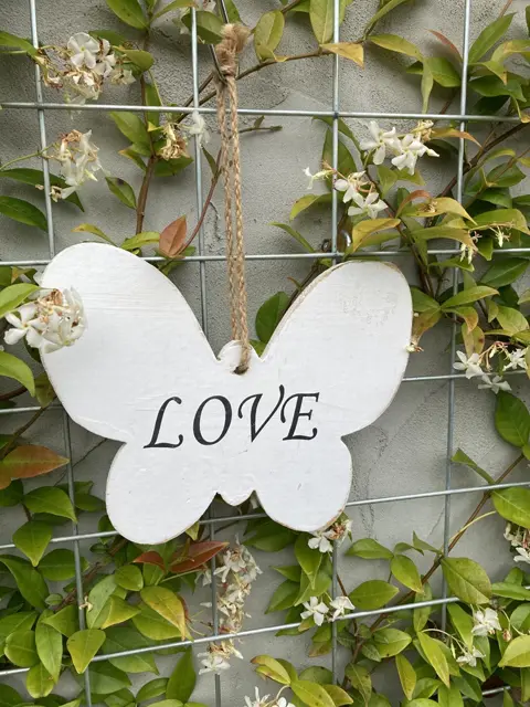 WOODEN BUTTERFLY OLD WHITE LOVE NEW.