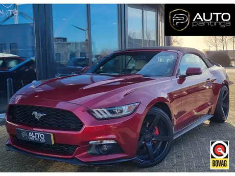 Ford Mustang Convertible 2.3 EcoBoost 317PK | Grote Beurt gehad Dec 2025 | Achteruitrijcamera | Keyl