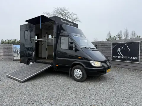 Mercedes-Benz Sprinter PAARDENWAGEN | HORSETRUCK | TVW | CLASSIC 3XL | 2001 | 180.850KM | AUTOMAAT |